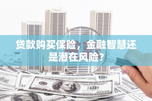 泸水贷款购买保险，金融智慧还是潜在风险？