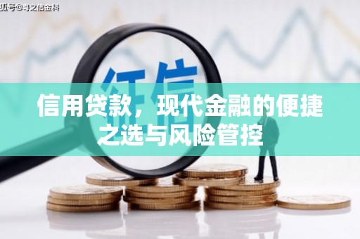 邵阳县信用贷款，现代金融的便捷之选与风险管控