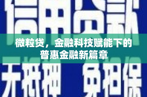 门源微粒贷，金融科技赋能下的普惠金融新篇章