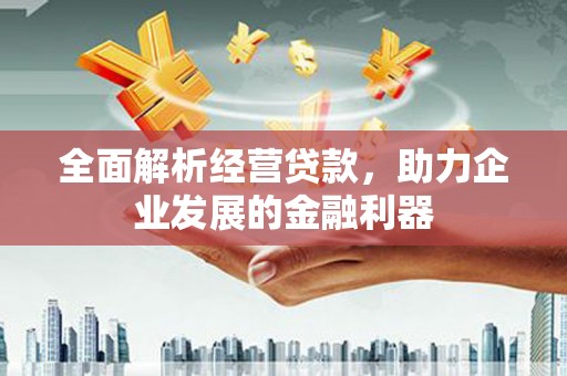 东西湖全面解析经营贷款，助力企业发展的金融利器