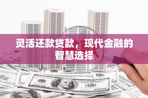 海原灵活还款贷款，现代金融的智慧选择