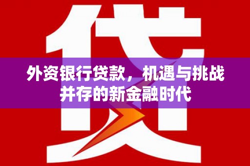 金湖外资银行贷款，机遇与挑战并存的新金融时代