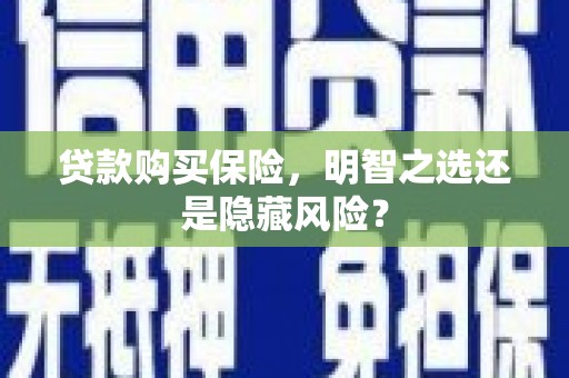 南陵贷款购买保险，明智之选还是隐藏风险？