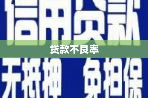 麻涌贷款不良率