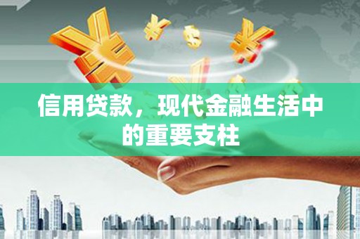 隆回信用贷款，现代金融生活中的重要支柱