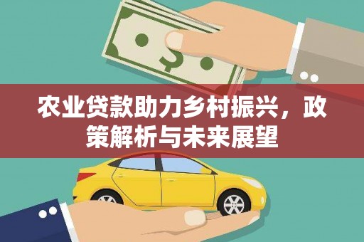 黄平农业贷款助力乡村振兴，政策解析与未来展望