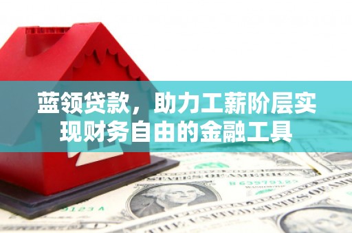 囊谦蓝领贷款，助力工薪阶层实现财务自由的金融工具