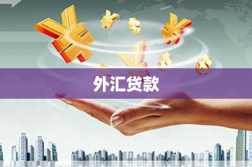 商州外汇贷款