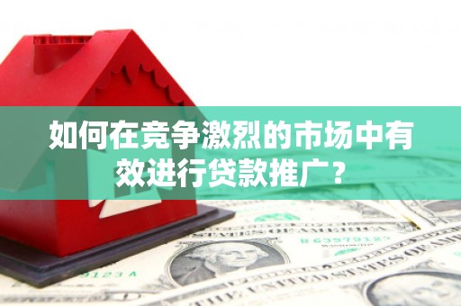 路环岛如何在竞争激烈的市场中有效进行贷款推广？