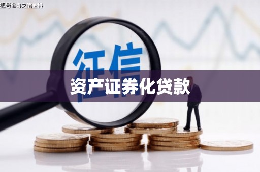 大林资产证券化贷款