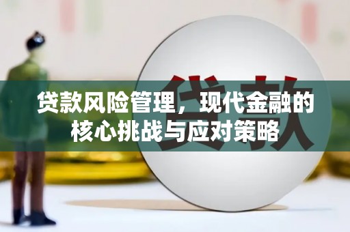 鱼峰贷款风险管理，现代金融的核心挑战与应对策略