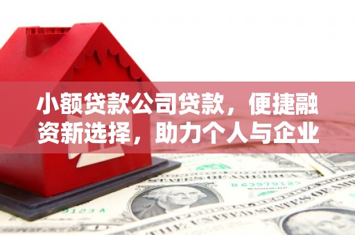 工布江达小额贷款公司贷款，便捷融资新选择，助力个人与企业成长