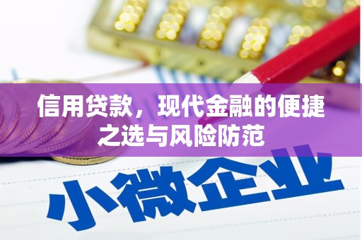 美浓信用贷款，现代金融的便捷之选与风险防范