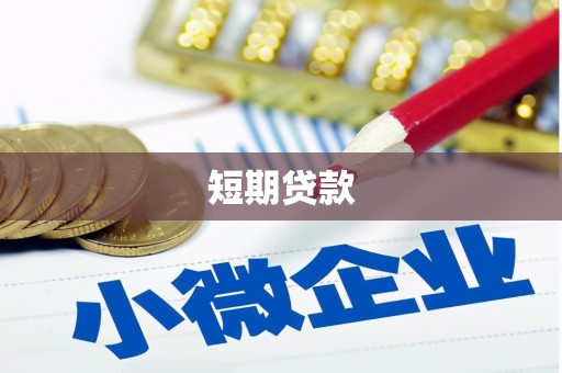 新华短期贷款