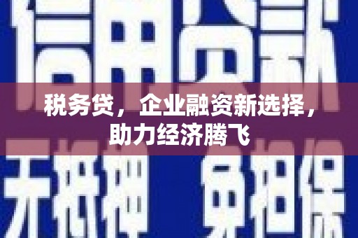 岑巩税务贷，企业融资新选择，助力经济腾飞