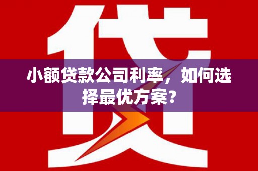 港北小额贷款公司利率，如何选择最优方案？