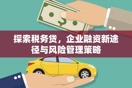 曲麻莱探索税务贷，企业融资新途径与风险管理策略