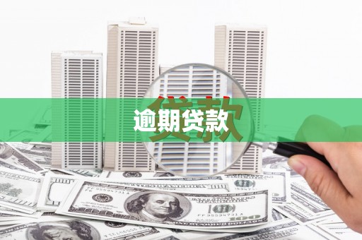 贵溪逾期贷款