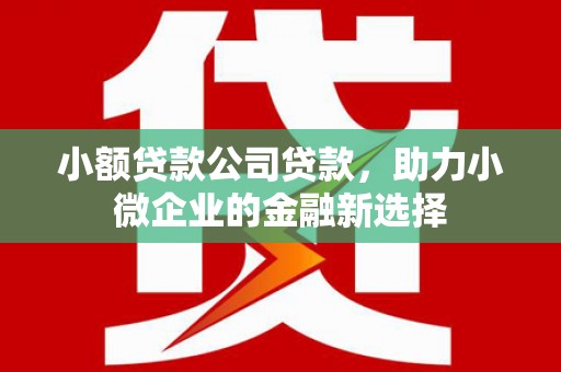 马尔康小额贷款公司贷款，助力小微企业的金融新选择