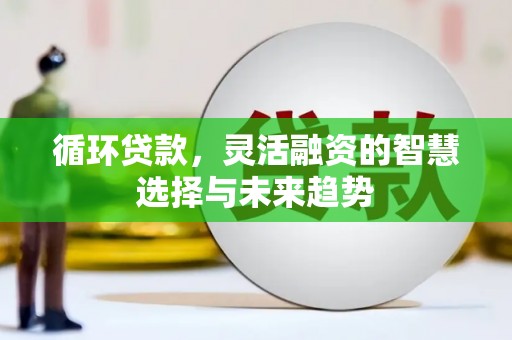葫芦岛循环贷款，灵活融资的智慧选择与未来趋势
