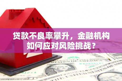 钟楼贷款不良率攀升，金融机构如何应对风险挑战？