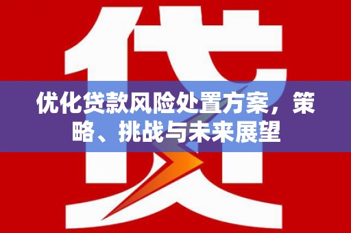文圣优化贷款风险处置方案，策略、挑战与未来展望