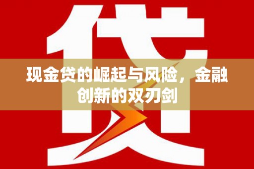 文安现金贷的崛起与风险，金融创新的双刃剑