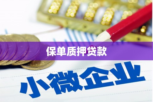 沁阳保单质押贷款