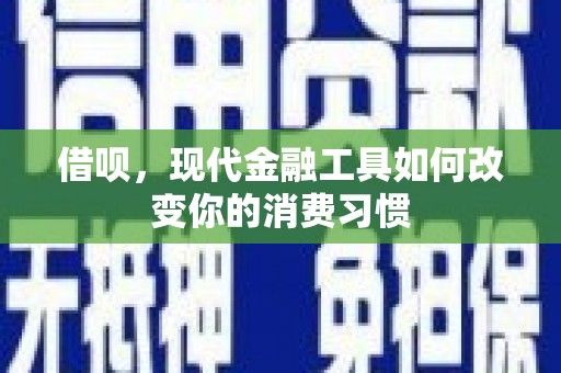 如皋借呗，现代金融工具如何改变你的消费习惯