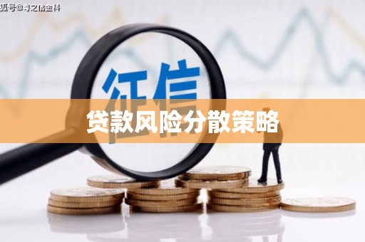 中原贷款风险分散策略