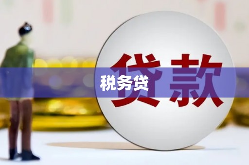 民雄税务贷
