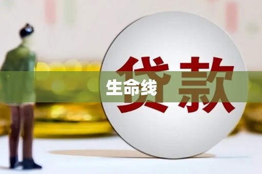 八公山生命线