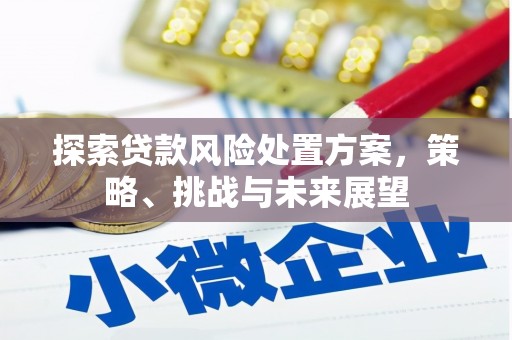 石狮探索贷款风险处置方案，策略、挑战与未来展望