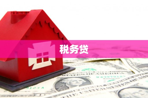 坪山新区税务贷