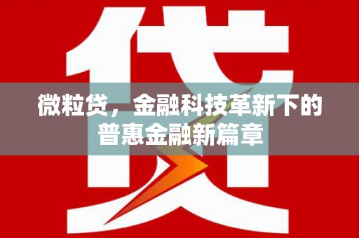 望谟微粒贷，金融科技革新下的普惠金融新篇章