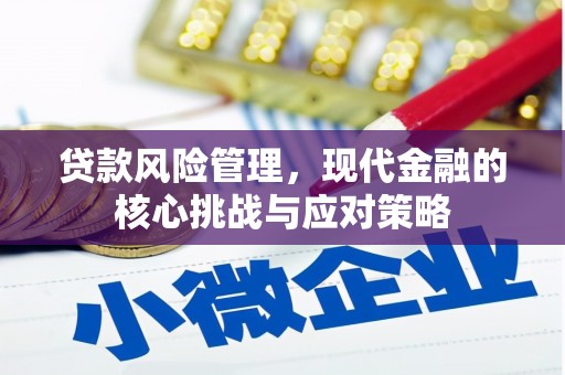 宁化贷款风险管理，现代金融的核心挑战与应对策略