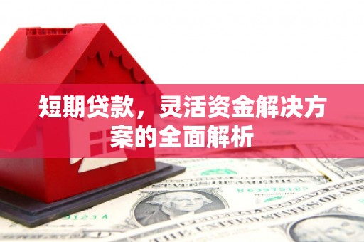 大朗短期贷款，灵活资金解决方案的全面解析