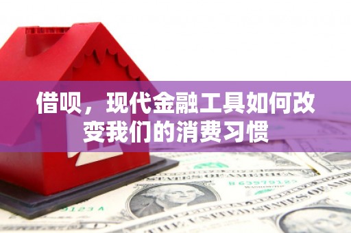 伊犁哈萨克借呗，现代金融工具如何改变我们的消费习惯