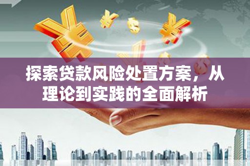 大寮探索贷款风险处置方案，从理论到实践的全面解析