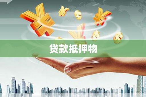 汝南贷款抵押物