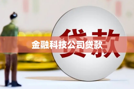 南安金融科技公司贷款
