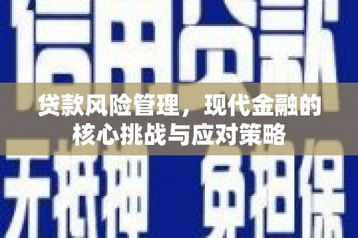 中坜贷款风险管理，现代金融的核心挑战与应对策略
