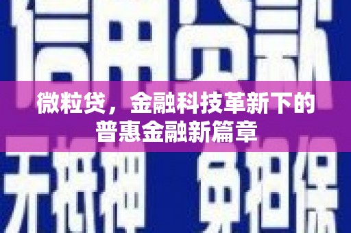 西海岸微粒贷，金融科技革新下的普惠金融新篇章