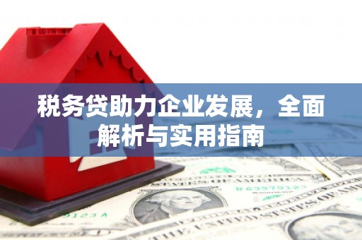 永州税务贷助力企业发展，全面解析与实用指南
