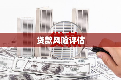 甘南贷款风险评估