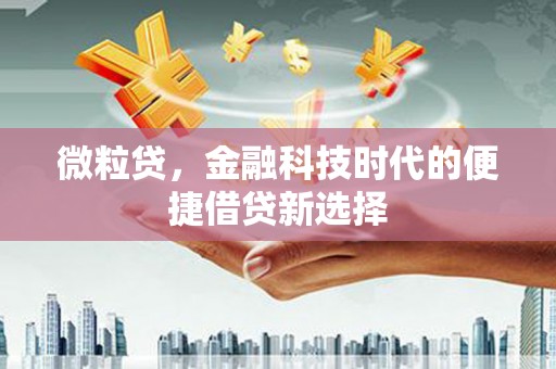 新都微粒贷，金融科技时代的便捷借贷新选择