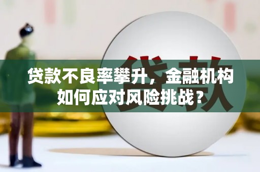 北塔贷款不良率攀升，金融机构如何应对风险挑战？