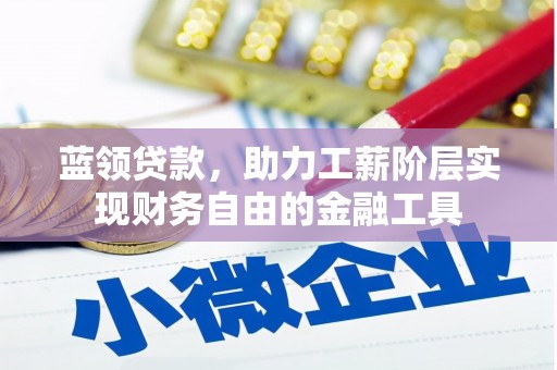 大渡口蓝领贷款，助力工薪阶层实现财务自由的金融工具