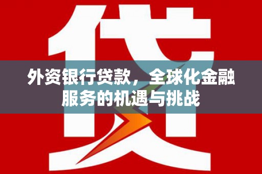 天长外资银行贷款，全球化金融服务的机遇与挑战