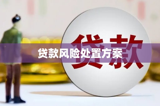 陇南贷款风险处置方案